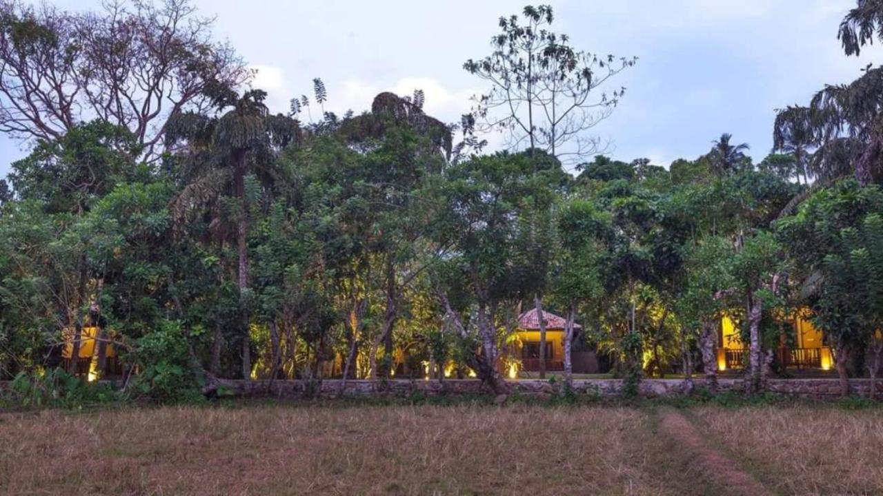 Birds Paradise Cabanas Unawatuna Exteriér fotografie