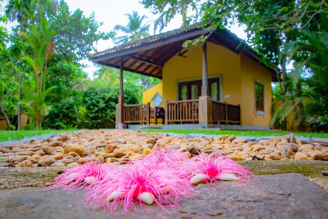 Birds Paradise Cabanas Unawatuna Exteriér fotografie