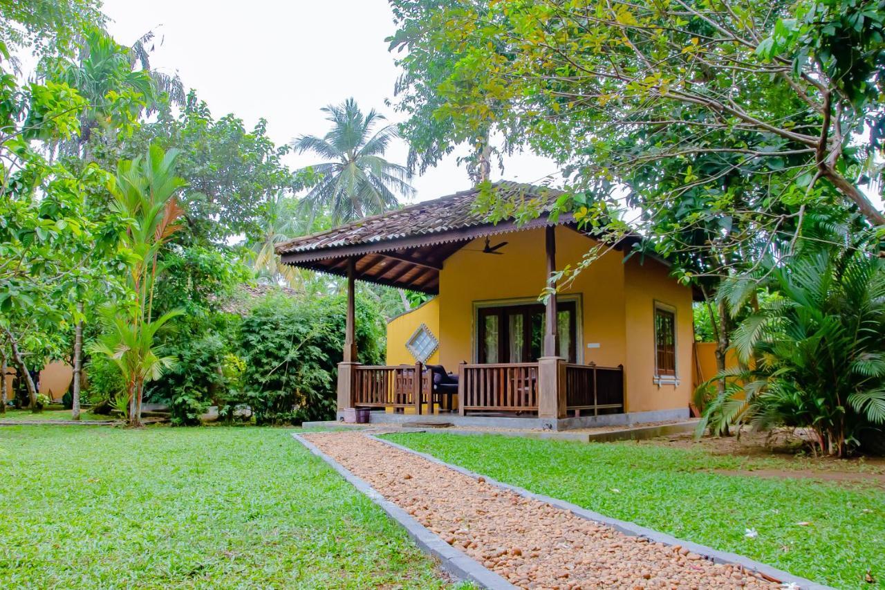 Birds Paradise Cabanas Unawatuna Exteriér fotografie