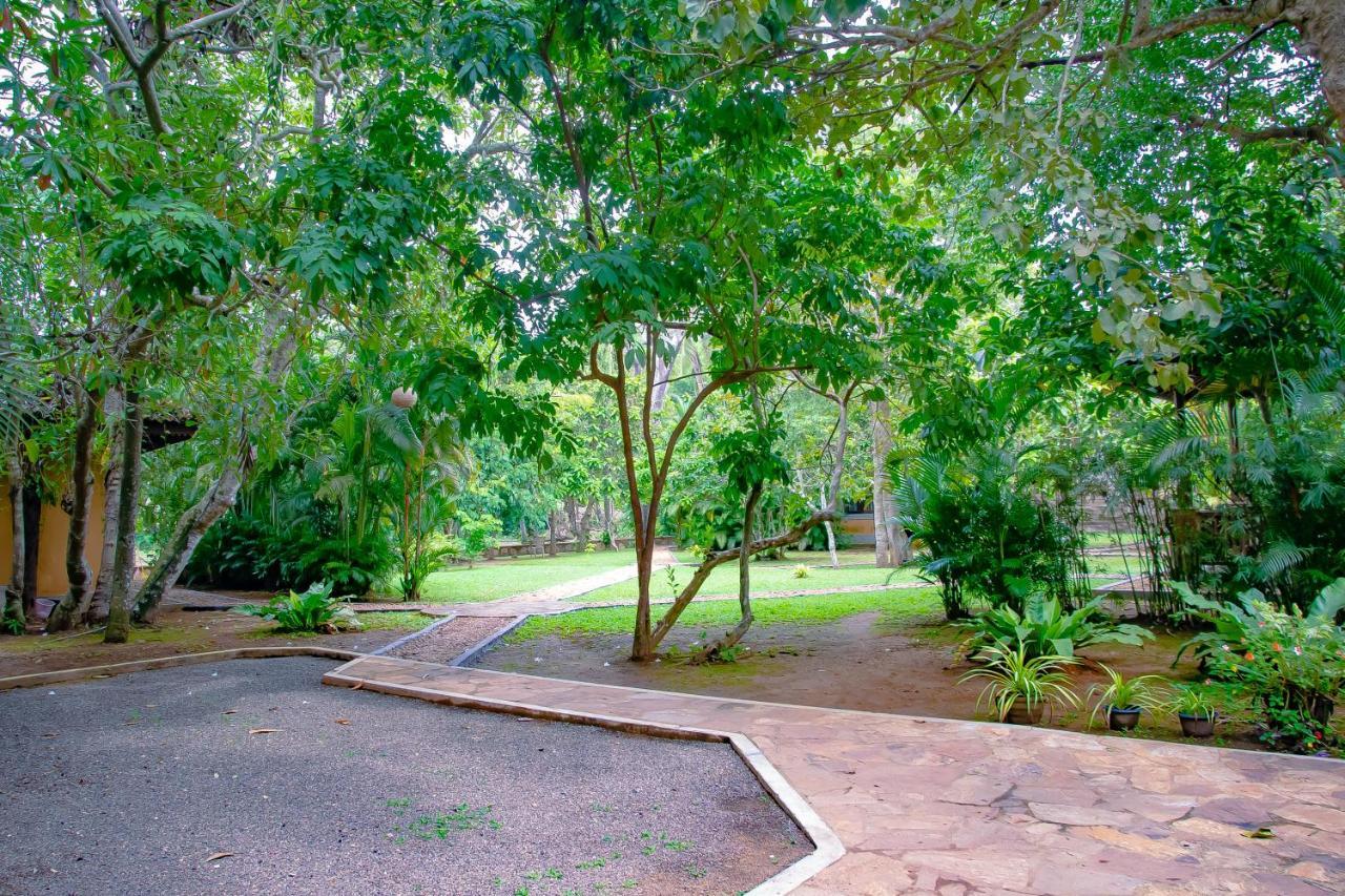 Birds Paradise Cabanas Unawatuna Exteriér fotografie