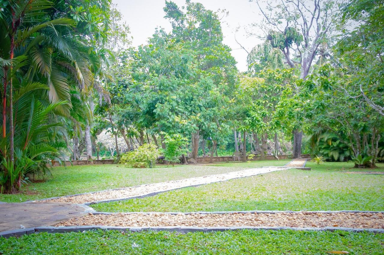 Birds Paradise Cabanas Unawatuna Exteriér fotografie