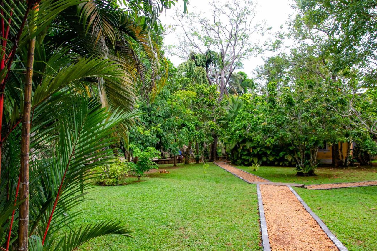 Birds Paradise Cabanas Unawatuna Exteriér fotografie