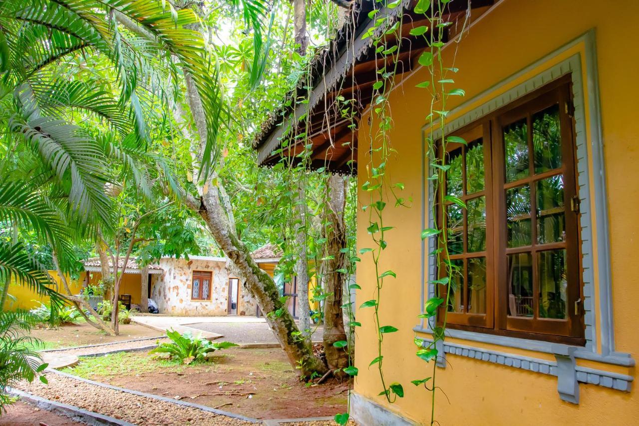 Birds Paradise Cabanas Unawatuna Exteriér fotografie